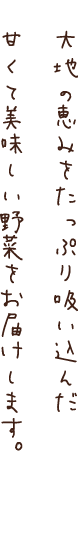 台地の恵みをたっぷり吸い込んだ甘くて美味しい野菜をお届けします。
